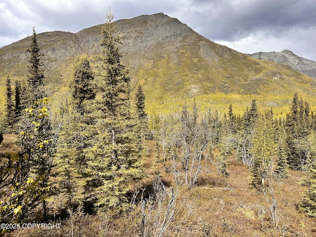 B005 Packsaddle Rd, Chickaloon, AK 99674
