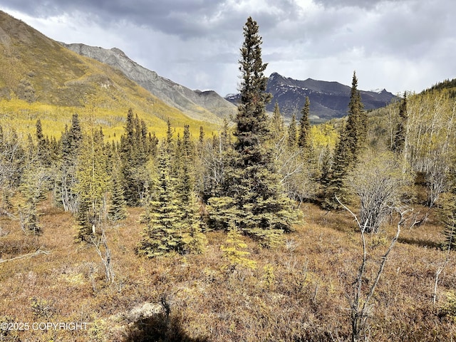 B005 Packsaddle Rd, Chickaloon, AK 99674