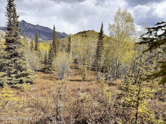 B005 Packsaddle Rd, Chickaloon, AK 99674