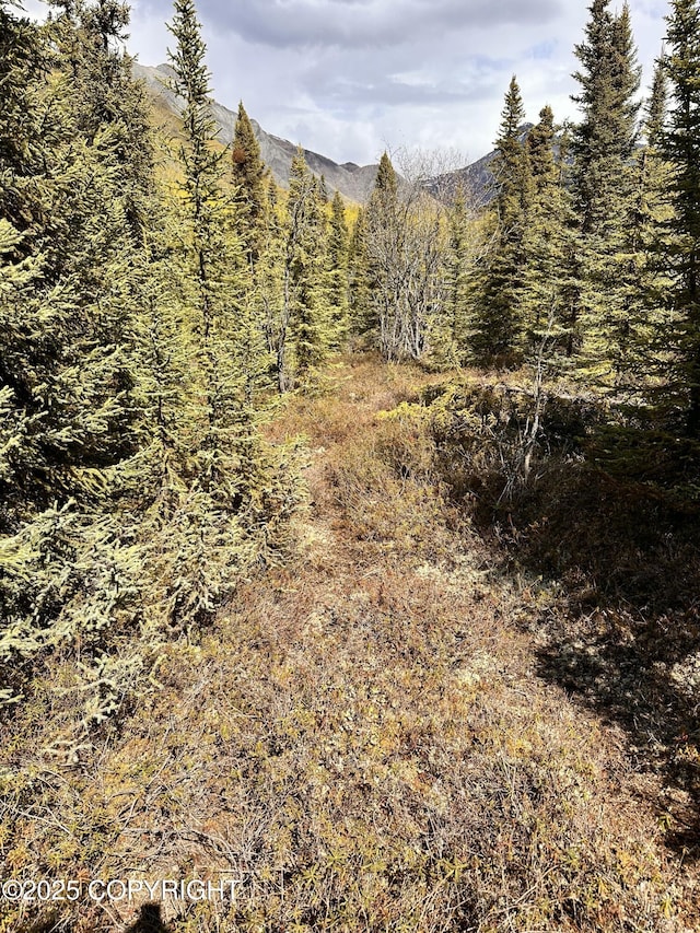 B005 Packsaddle Rd, Chickaloon, AK 99674
