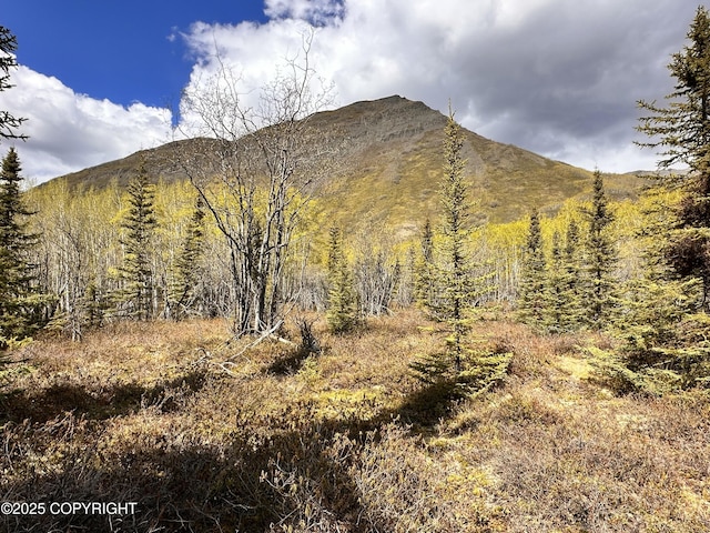 B005 Packsaddle Rd, Chickaloon, AK 99674