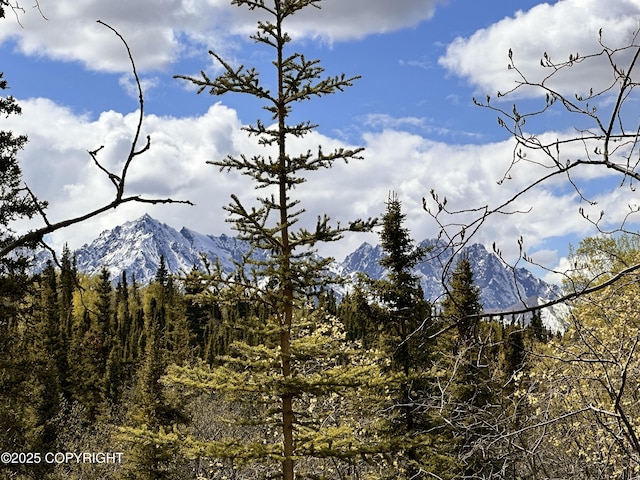 B005 Packsaddle Rd, Chickaloon, AK 99674