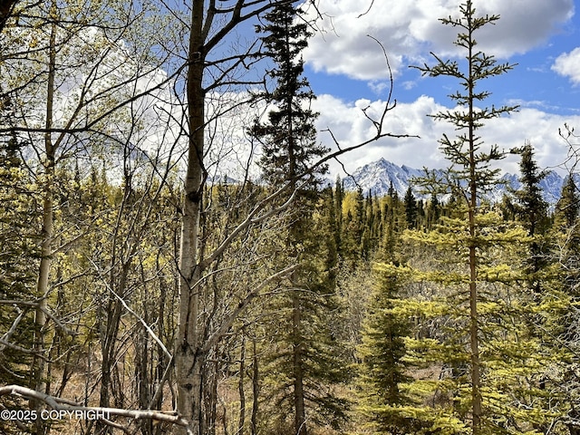 B005 Packsaddle Rd, Chickaloon, AK 99674