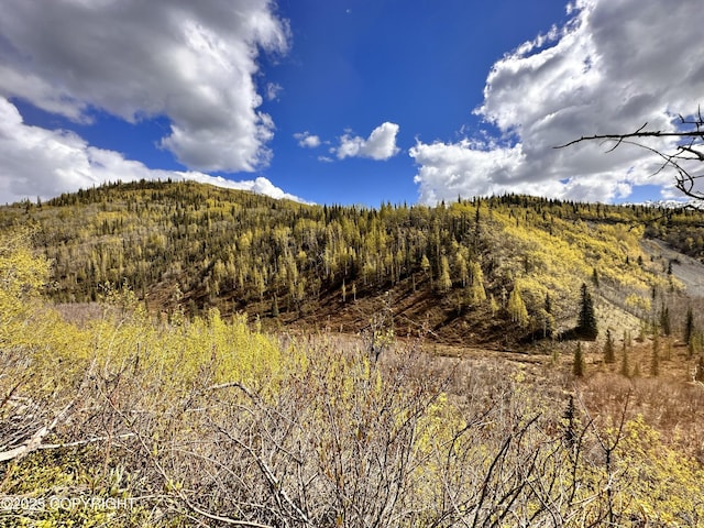 B005 Packsaddle Rd, Chickaloon, AK 99674