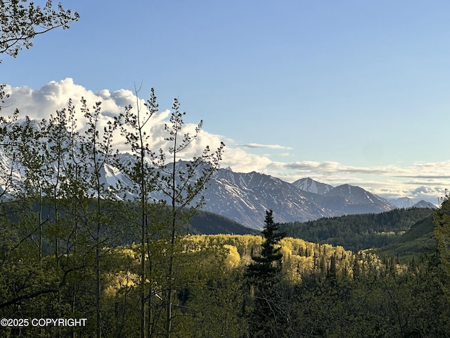 B005 Packsaddle Rd, Chickaloon, AK 99674
