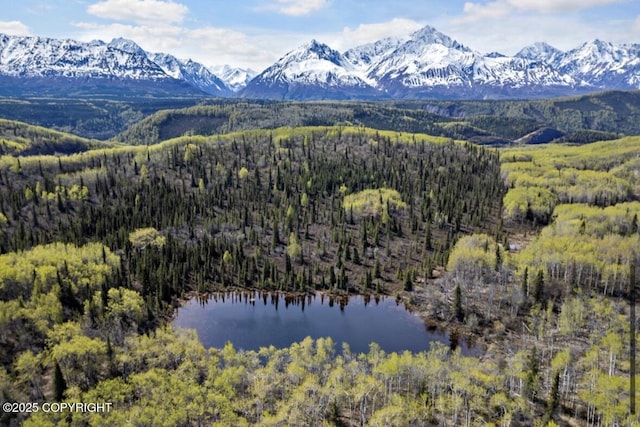 B005 Packsaddle Rd, Chickaloon, AK 99674