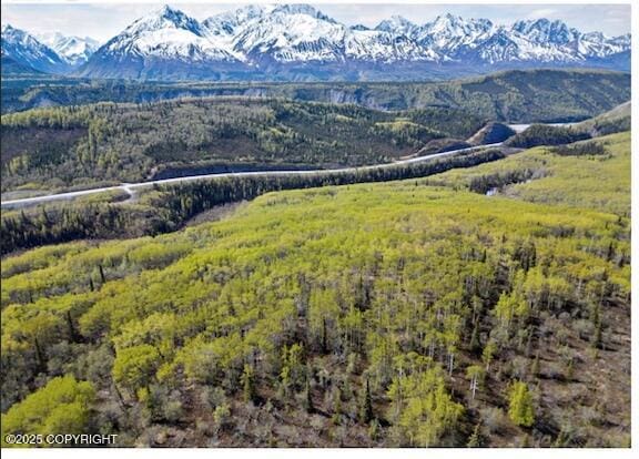 B005 Packsaddle Rd, Chickaloon, AK 99674