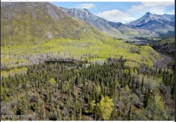 B005 Packsaddle Rd, Chickaloon, AK 99674