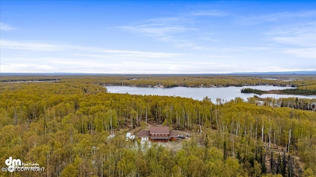 26475 W Crystal Lake Rd, Willow, AK 99688 - photo 96