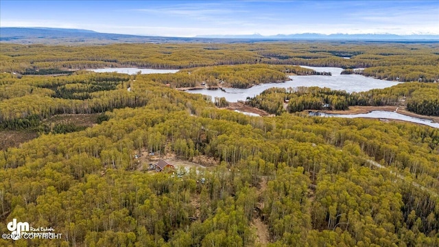 26475 W Crystal Lake Rd, Willow, AK 99688 - photo 102