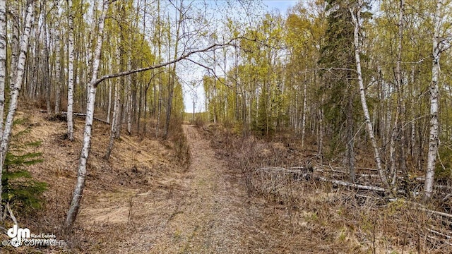 26475 W Crystal Lake Rd, Willow, AK 99688 - photo 88