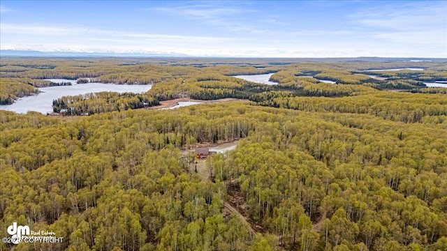 26475 W Crystal Lake Rd, Willow, AK 99688 - photo 101