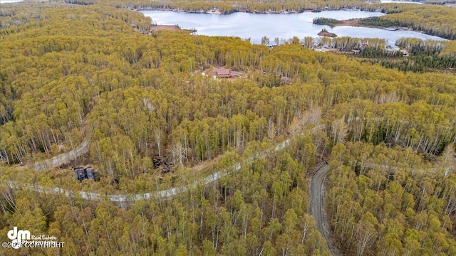26475 W Crystal Lake Rd, Willow, AK 99688 - photo 94