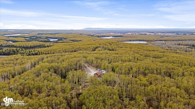 26475 W Crystal Lake Rd, Willow, AK 99688 - photo 100