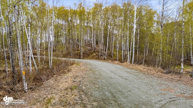 26475 W Crystal Lake Rd, Willow, AK 99688 - photo 86