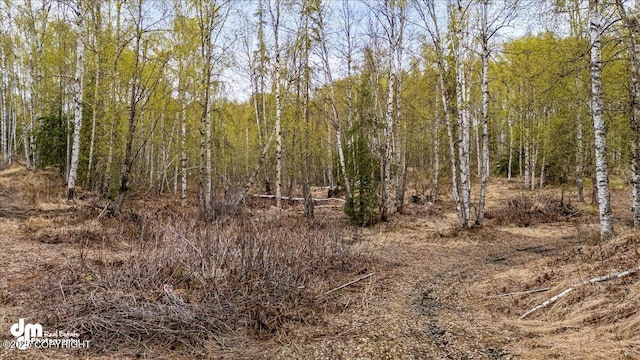26475 W Crystal Lake Rd, Willow, AK 99688 - photo 91