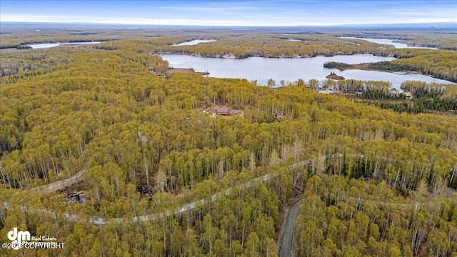 26475 W Crystal Lake Rd, Willow, AK 99688 - photo 97