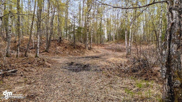 26475 W Crystal Lake Rd, Willow, AK 99688 - photo 90