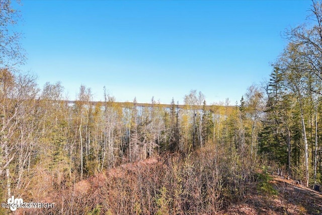 8266 S Big Lake Rd, Big Lake, AK 99652 - view of nature