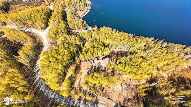 8266 S Big Lake Rd, Big Lake, AK 99652 - drone / aerial view of a nearby body of water