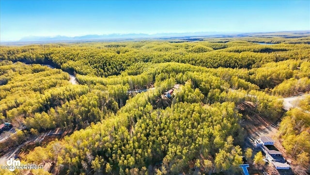 8266 S Big Lake Rd, Big Lake, AK 99652 - bird's eye view of a heavily wooded area