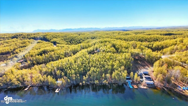8266 S Big Lake Rd, Big Lake, AK 99652 - aerial view of a heavily wooded area and a large body of water