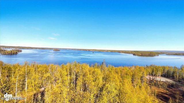 8266 S Big Lake Rd, Big Lake, AK 99652 - water view