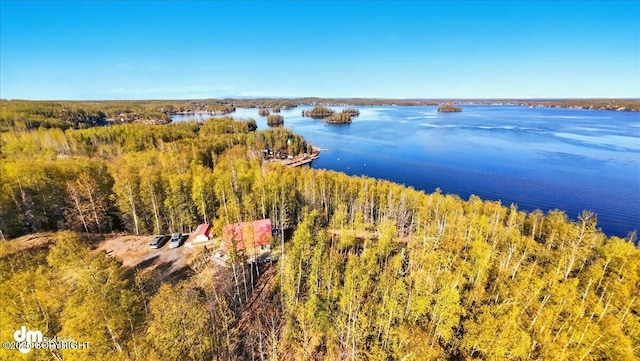 8266 S Big Lake Rd, Big Lake, AK 99652 - aerial view of a nearby body of water
