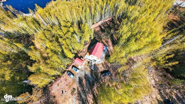 8266 S Big Lake Rd, Big Lake, AK 99652 - view of subject property