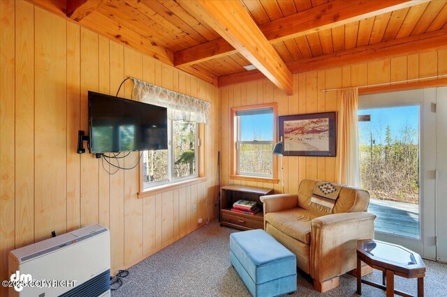 8266 S Big Lake Rd, Big Lake, AK 99652 - sitting room with wood ceiling, beamed ceiling, wooden walls, carpet floors, and heating unit