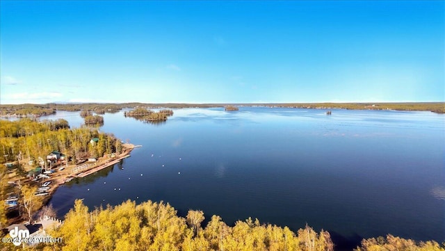 8266 S Big Lake Rd, Big Lake, AK 99652 - water view