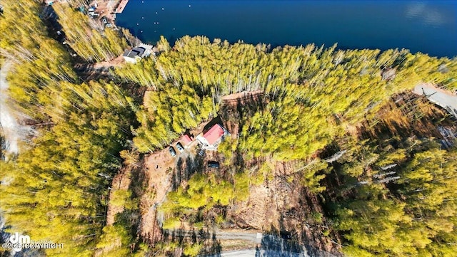 8266 S Big Lake Rd, Big Lake, AK 99652 - aerial overview of property's location with a large body of water
