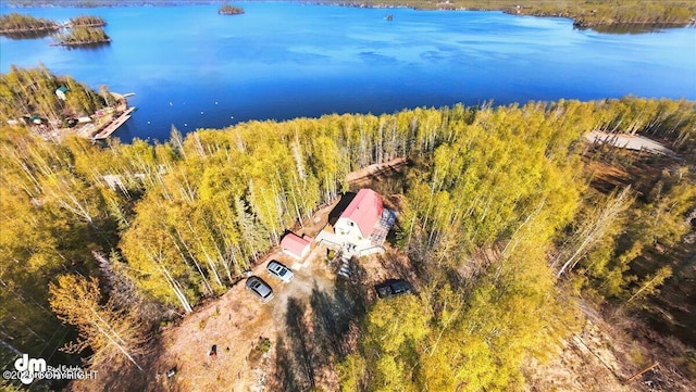 8266 S Big Lake Rd, Big Lake, AK 99652 - view of subject property featuring a nearby body of water and a forest