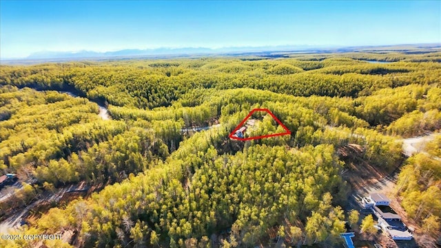 8266 S Big Lake Rd, Big Lake, AK 99652 - aerial view of property and surrounding area with a heavily wooded area and property boundaries highlighted
