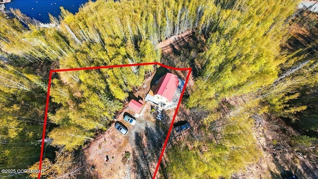 8266 S Big Lake Rd, Big Lake, AK 99652 - view from above of property with property parcel outlined