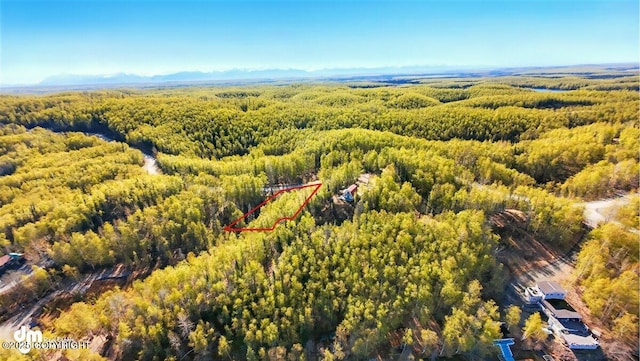 8266 S Big Lake Rd, Big Lake, AK 99652 - aerial view of property and surrounding area with a forest and property boundaries highlighted
