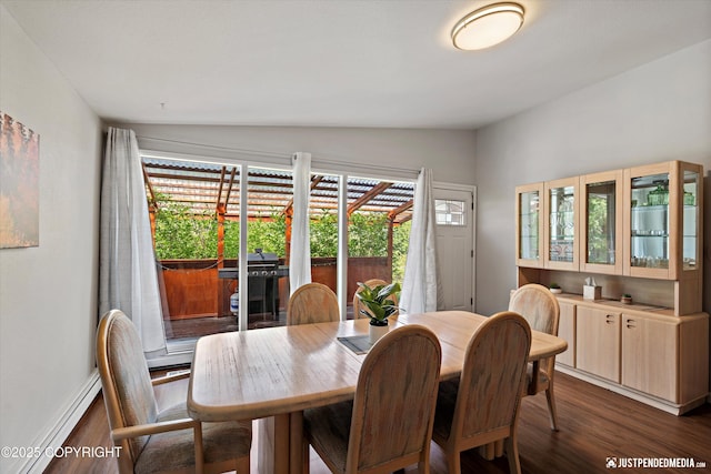 6700 Omalley Rd, Anchorage, AK 99507 - dining space with vaulted ceiling, dark wood-style flooring, a baseboard radiator, and baseboards