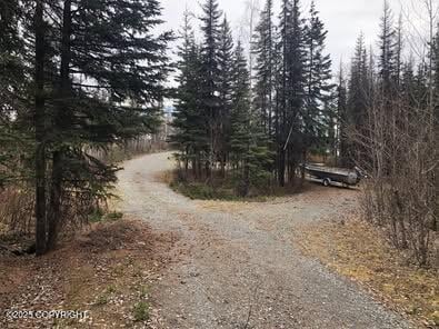 35290 Fisherman Rd, Soldotna, AK 99669 - view of road