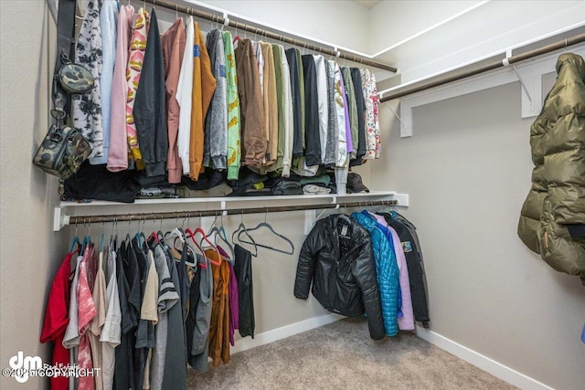 3412 Red Rock Ct, Anchorage, AK 99502 - spacious closet with carpet floors