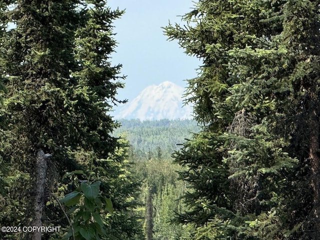 36769 River View Terrace Dr, Soldotna, AK 99669