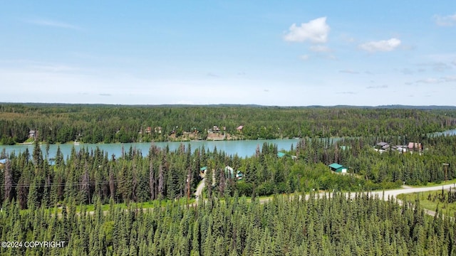 36769 River View Terrace Dr, Soldotna, AK 99669
