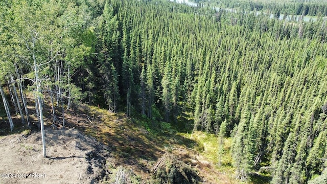 36769 River View Terrace Dr, Soldotna, AK 99669