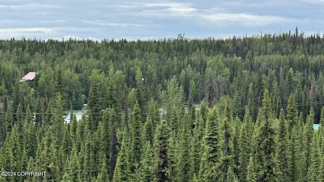 36769 River View Terrace Dr, Soldotna, AK 99669