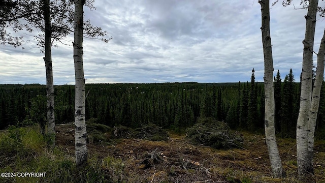 36769 River View Terrace Dr, Soldotna, AK 99669