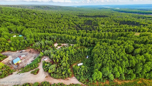 15946 W Willow Fishhook Rd, Willow, AK 99688