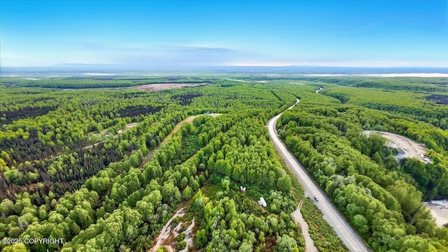 15946 W Willow Fishhook Rd, Willow, AK 99688