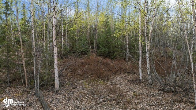 638 S Harlindon Dale Cir, Wasilla, AK 99654