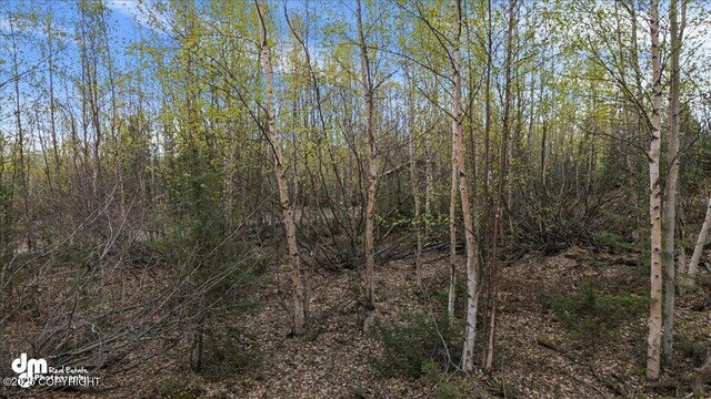 638 S Harlindon Dale Cir, Wasilla, AK 99654