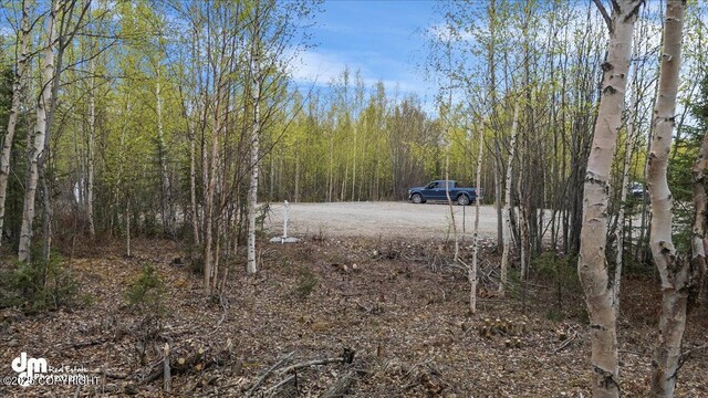 638 S Harlindon Dale Cir, Wasilla, AK 99654