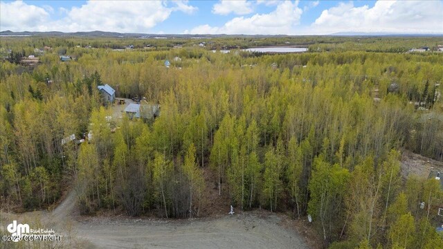 638 S Harlindon Dale Cir, Wasilla, AK 99654